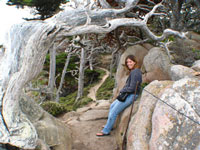 On the Trail at Point Lobos