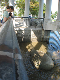 The famous Plymouth Rock
