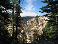 The yellowstone grand canyon with lower falls in the background. This is the view from Artist point on the South Rim Drive