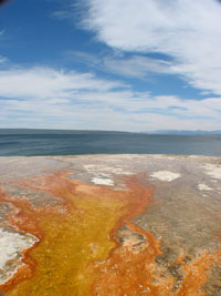 These are some pools in the west thumb area of Yellowstone with the lake in the background