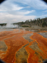 The orange rings of Grand Prismatic Spring from up close