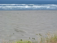 Clam Beach - we were trying to capture the sand dunes on this beach