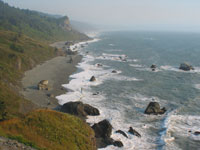 More scenery along Redwood National Park