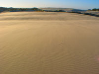 Oregon Sand Dunes