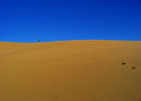 Natty climbed to the top of this sand dune - made for a great picture